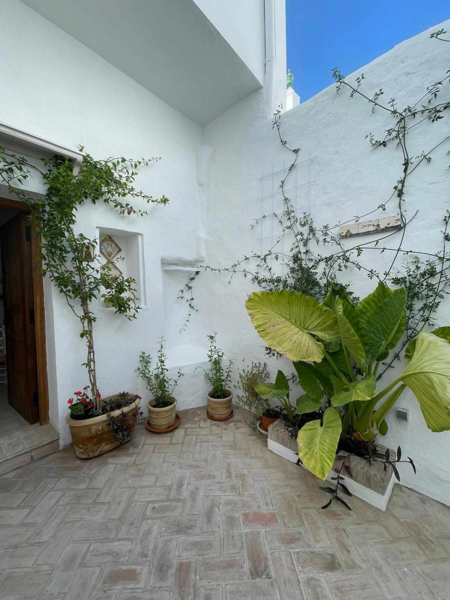 Antiqua Centro De Vejer Con Wifi Grupo Ac Gestion Villa Vejer de la Frontera Bagian luar foto